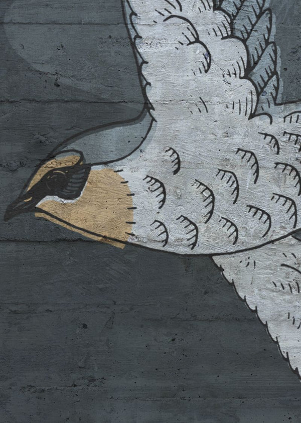 Concrete Art, Night Swallow | Rebel Walls