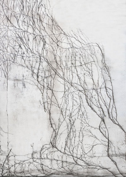 Exclusively at Designer Wallcoverings and Fabrics