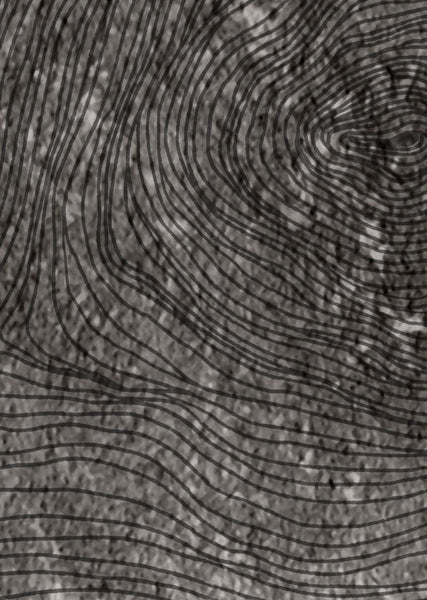 Exclusively at Designer Wallcoverings and Fabrics