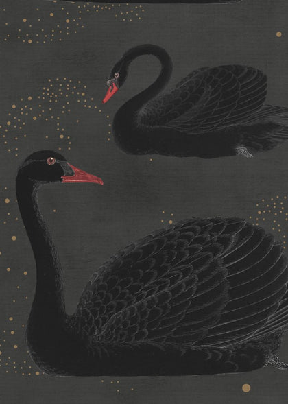Cygne, Noir | Rebel Walls