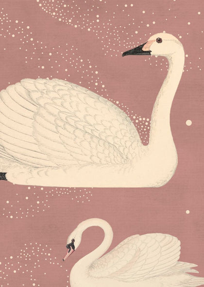 Cygne, Rose | Rebel Walls
