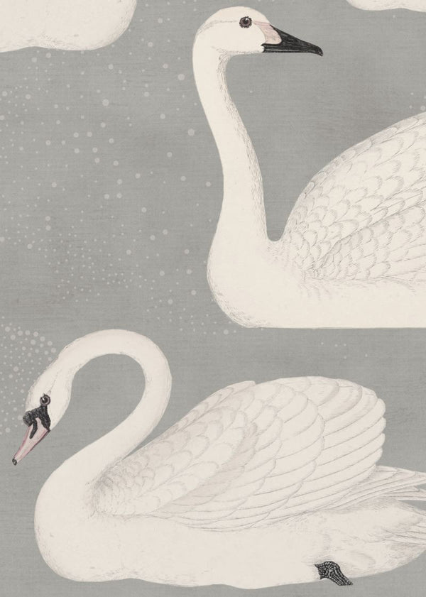 Cygne | Rebel Walls