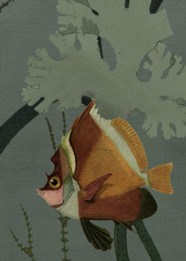 Aquatic Life, Oxygen | Rebel Walls
