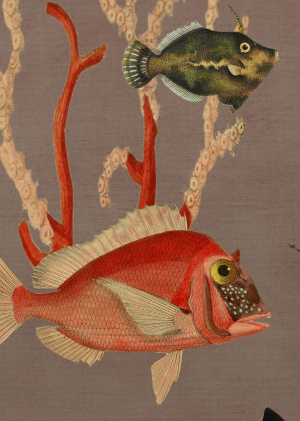Aquatic Life, Coral | Rebel Walls