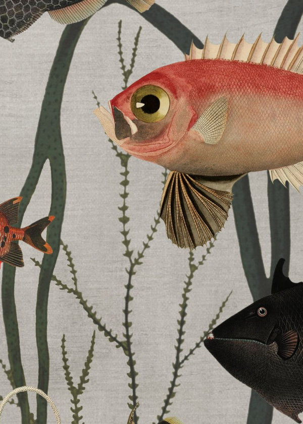 Aquatic Life | Rebel Walls