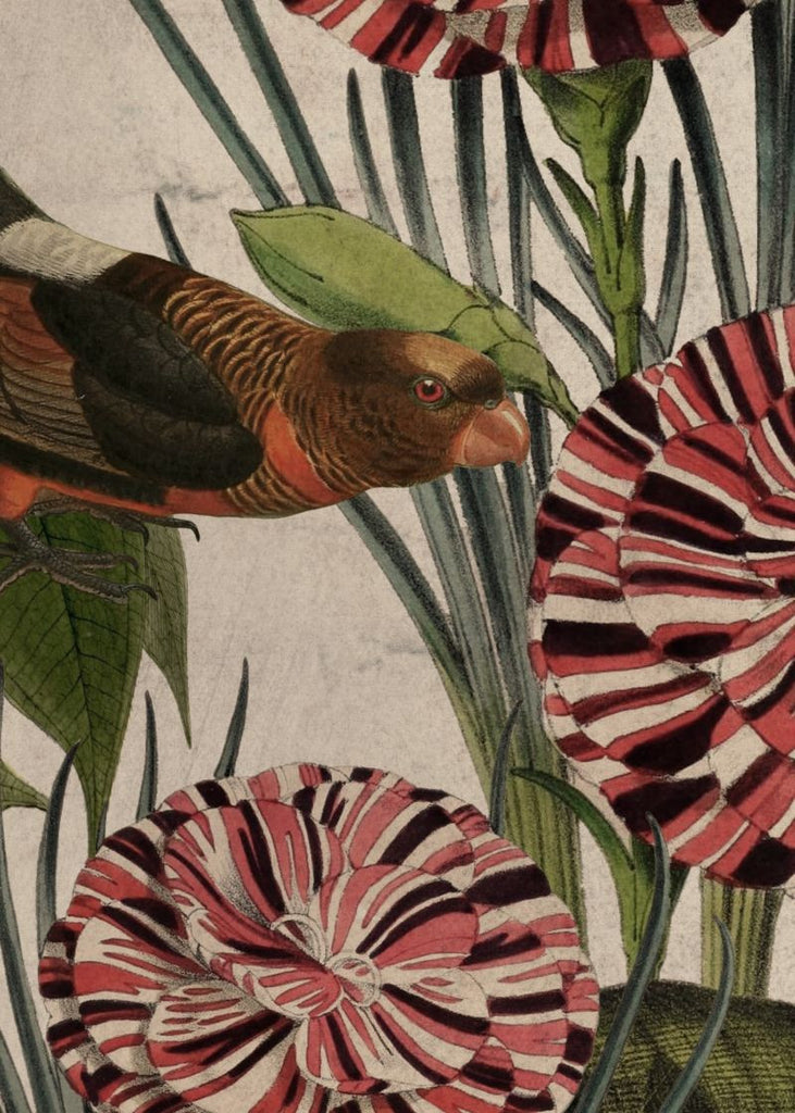 Exclusively at Designer Wallcoverings and Fabrics