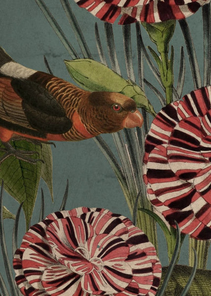 Exclusively at Designer Wallcoverings and Fabrics