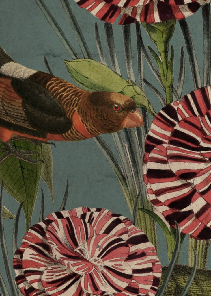 Exclusively at Designer Wallcoverings and Fabrics