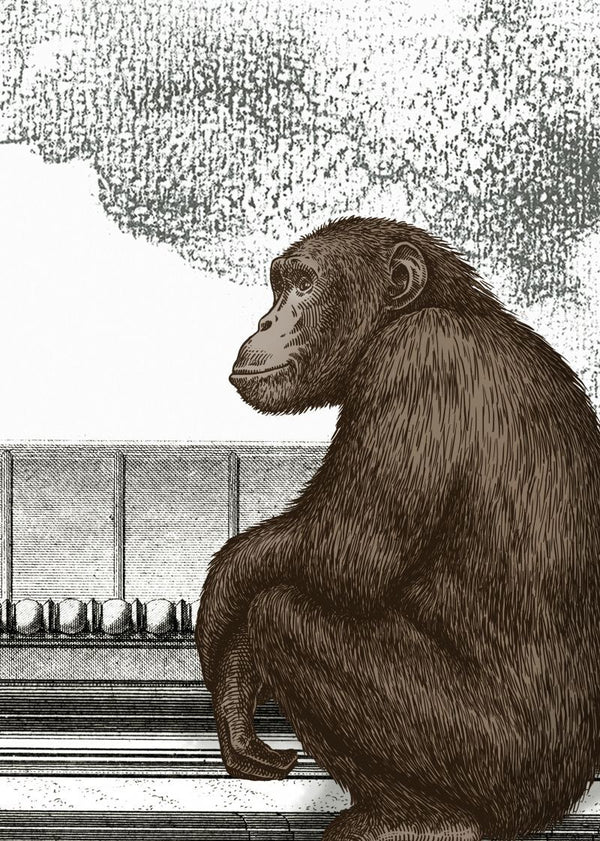 Animal Avenue | Rebel Walls