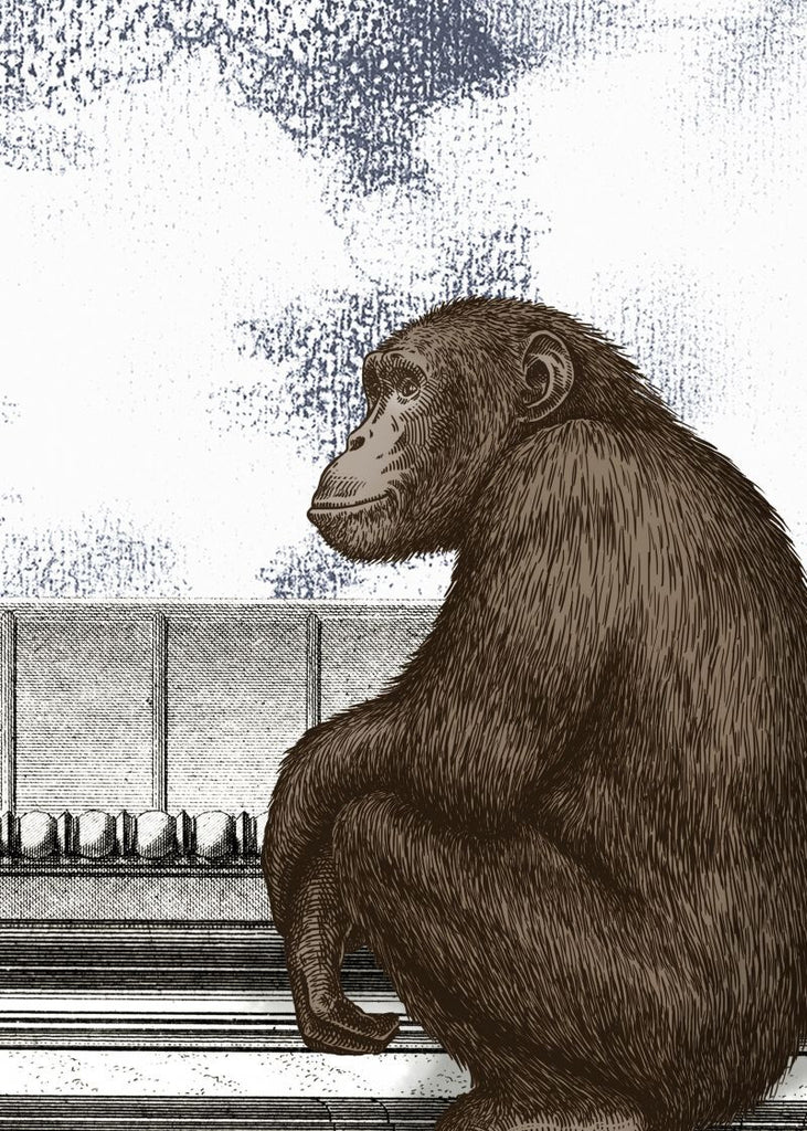 Exclusively at Designer Wallcoverings and Fabrics