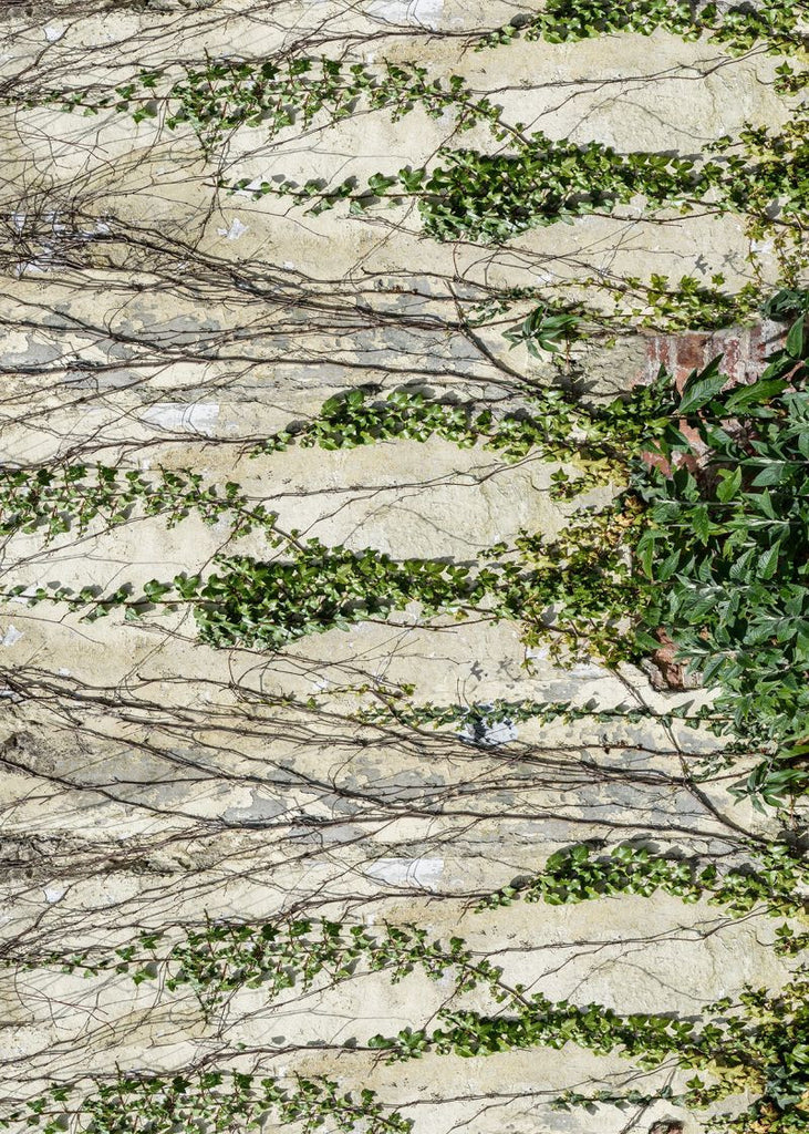 Exclusively at Designer Wallcoverings and Fabrics