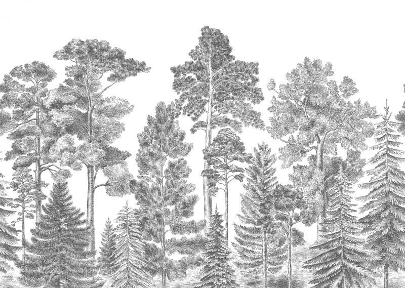 Exclusively at Designer Wallcoverings and Fabrics