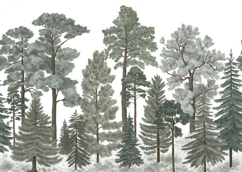 Exclusively at Designer Wallcoverings and Fabrics