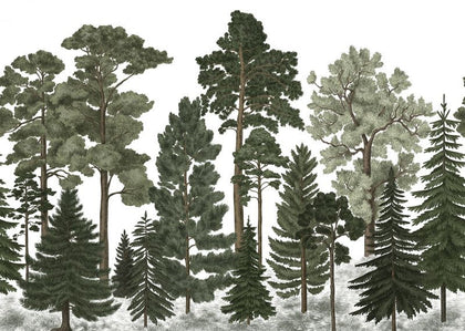 Scandinavian Bellewood | Rebel Walls