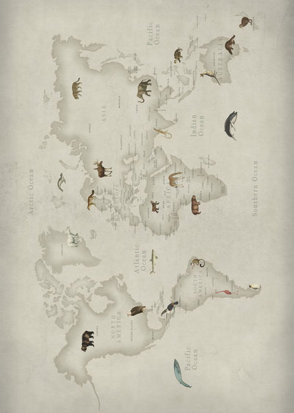 Exclusively at Designer Wallcoverings and Fabrics