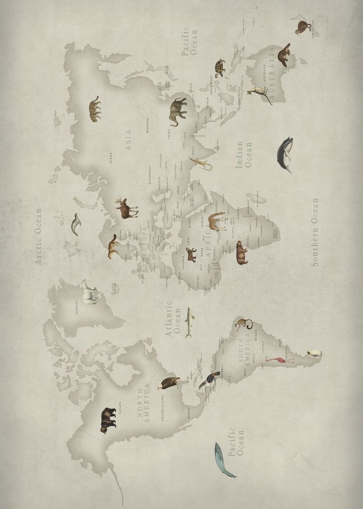 Exclusively at Designer Wallcoverings and Fabrics