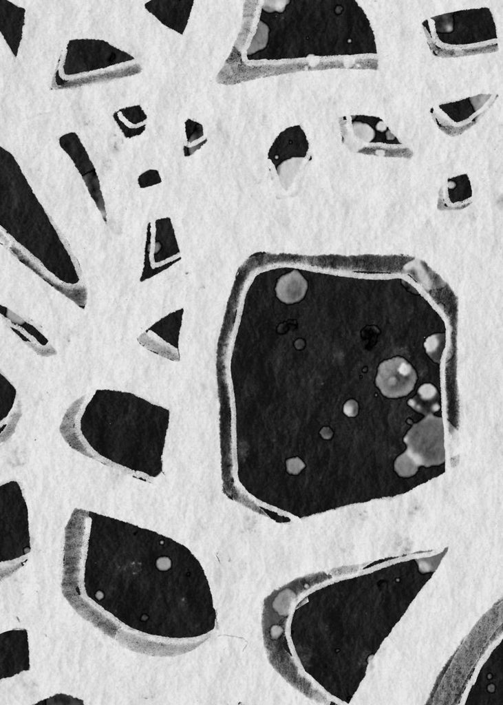 Exclusively at Designer Wallcoverings and Fabrics