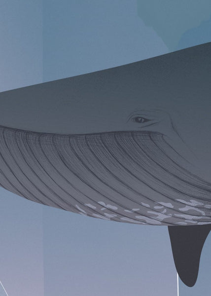 Exclusively at Designer Wallcoverings and Fabrics