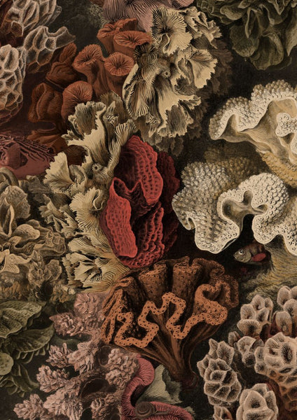 Exclusively at Designer Wallcoverings and Fabrics