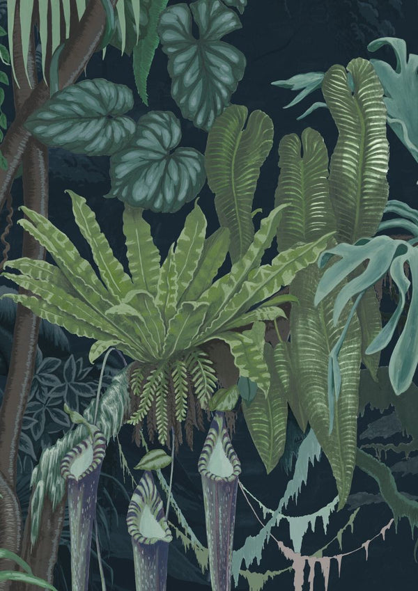 Madagascar Teal | Rebel Walls