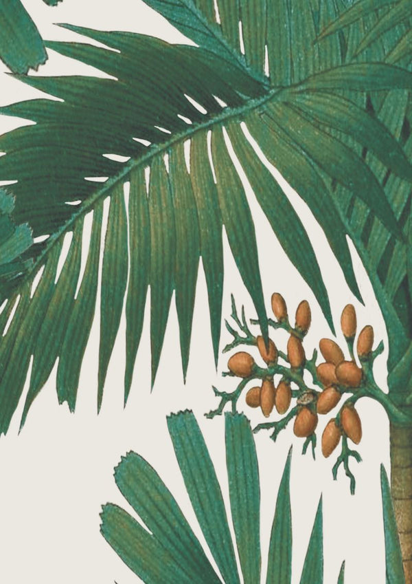 Palm Spring Pearl | Rebel Walls