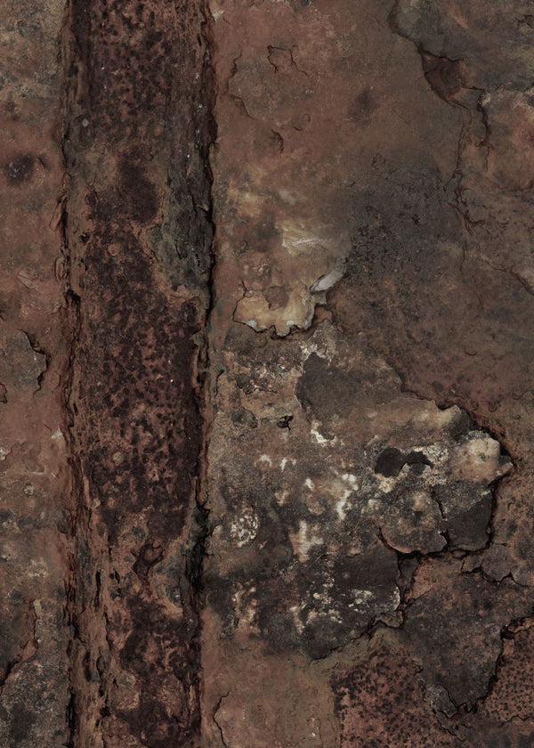 Berlin Rust | Rebel Walls