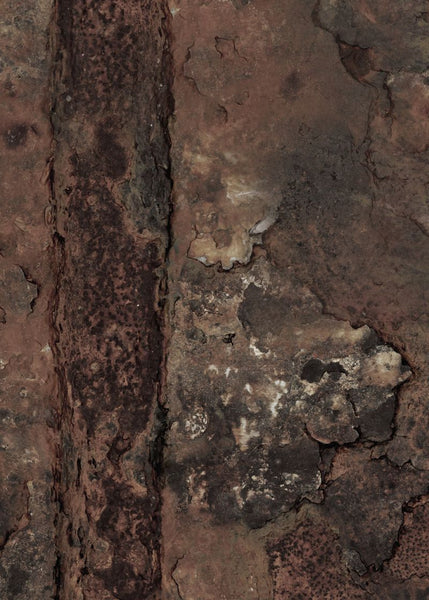 Exclusively at Designer Wallcoverings and Fabrics