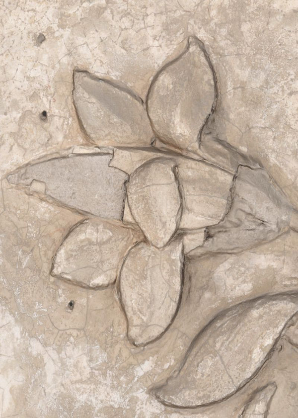 Marseille Sand | Rebel Walls