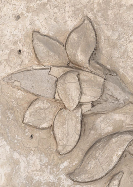 Exclusively at Designer Wallcoverings and Fabrics