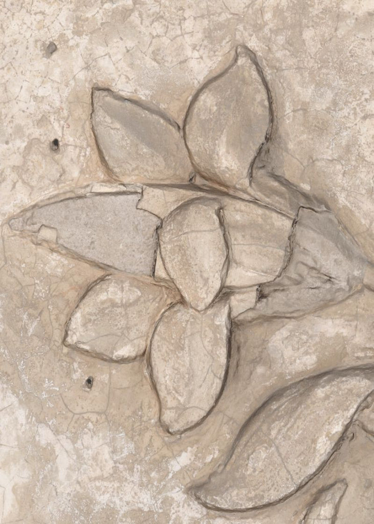 Exclusively at Designer Wallcoverings and Fabrics