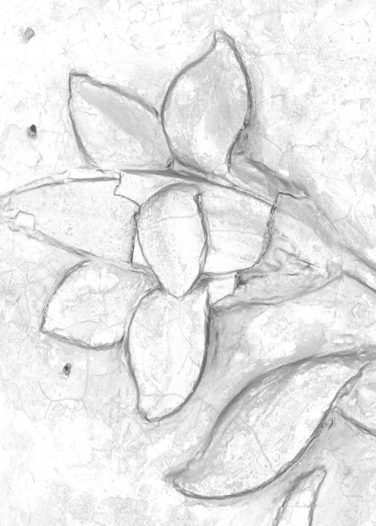 Exclusively at Designer Wallcoverings and Fabrics