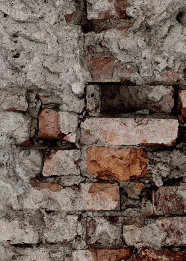 Barcelona Rust | Rebel Walls