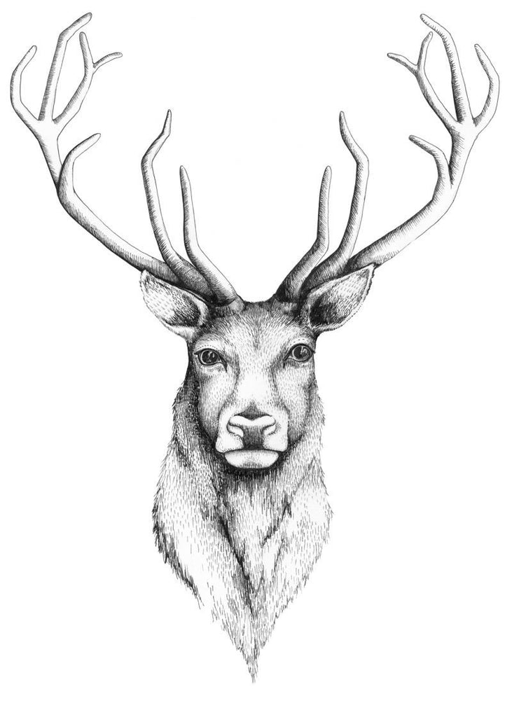 Exclusively at Designer Wallcoverings and Fabrics