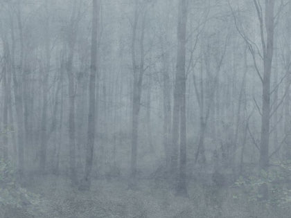 Skog misty blue Wallcovering | Sandberg
