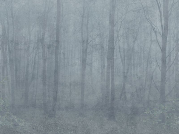 Skog misty blue Wallcovering | Sandberg