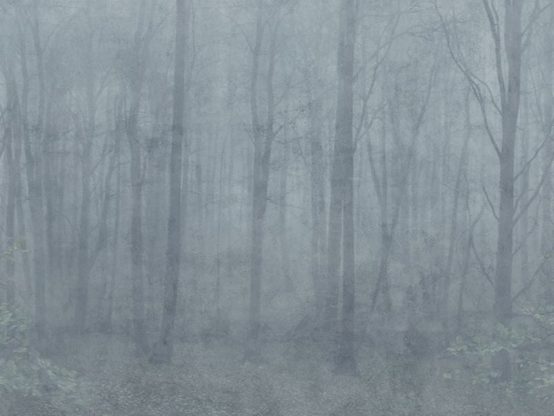 Exclusively at Designer Wallcoverings and Fabrics