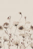 Exclusively at Designer Wallcoverings and Fabrics