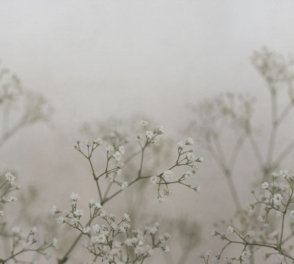 Julia spring green sample Wallcovering | Sandberg
