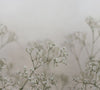 Exclusively at Designer Wallcoverings and Fabrics