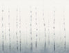 Exclusively at Designer Wallcoverings and Fabrics