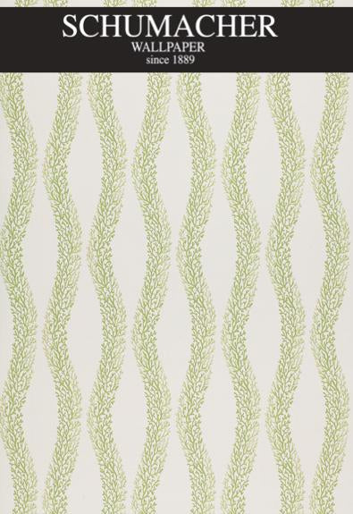 Authorized Dealer of 5000360 by Schumacher Wallpaper at Designer Wallcoverings and Fabrics, Your online resource since 2007