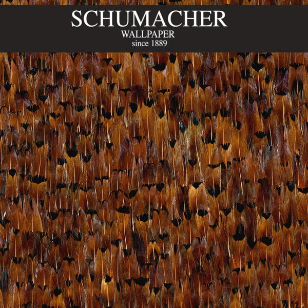 Authorized Dealer of 5003910 by Schumacher Wallpaper at Designer Wallcoverings and Fabrics, Your online resource since 2007