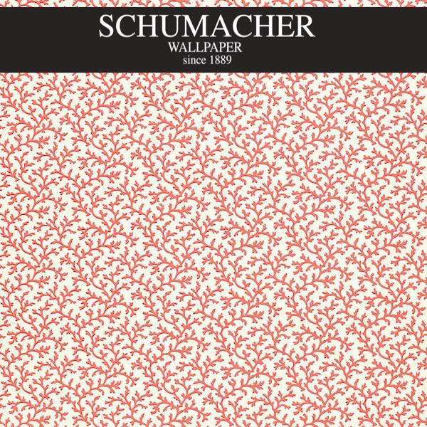 Authorized Dealer of 5004415 by Schumacher Wallpaper at Designer Wallcoverings and Fabrics, Your online resource since 2007