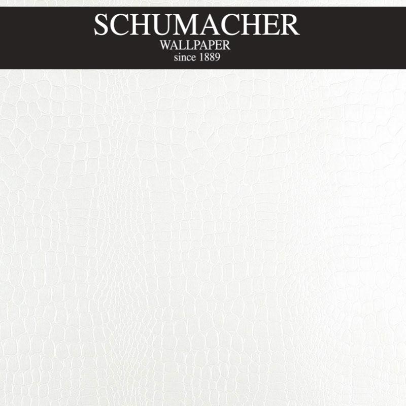 Authorized Dealer of 5005830 by Schumacher Wallpaper at Designer Wallcoverings and Fabrics, Your online resource since 2007