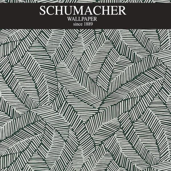 Authorized Dealer of 5007534 by Schumacher Wallpaper at Designer Wallcoverings and Fabrics, Your online resource since 2007