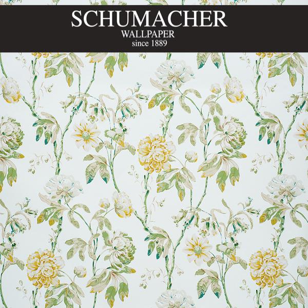 Authorized Dealer of 5011400 by Schumacher Wallpaper at Designer