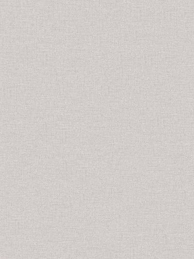 Cinder Plain - Light Grey Wallpaper | Scalamandre 