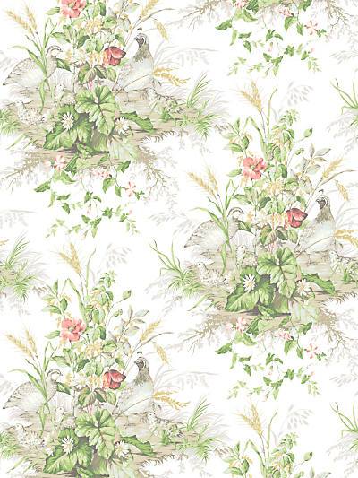 Edwin'S Covey - Prairie | Scalamandre