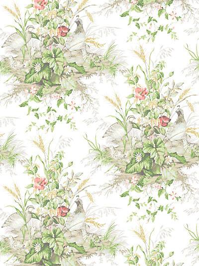 EDWIN'S COVEY - PRAIRIE - SCALAMANDRE WALLPAPER - SC_0002WP88434 at Designer Wallcoverings and Fabrics, Your online resource since 2007