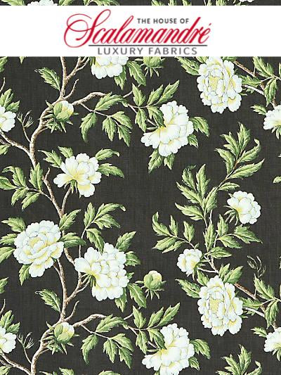 PEONIA LINEN PRINT - ONYX - FABRIC - 16616-003 at Designer Wallcoverings and Fabrics, Your online resource since 2007